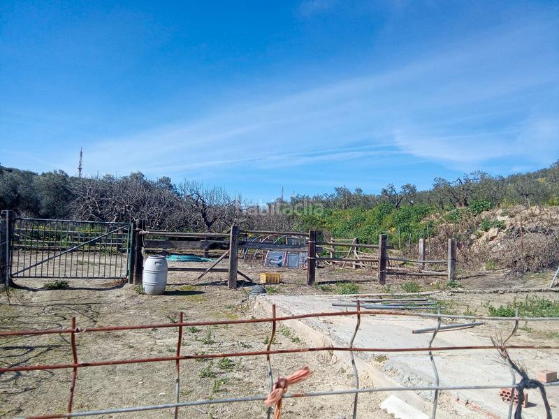 Foto e86b4cc0-5217-4d00-952e-1a617216d2ab. Finca rústica en calle miguel delibes 8 en Valencina de la Concepción