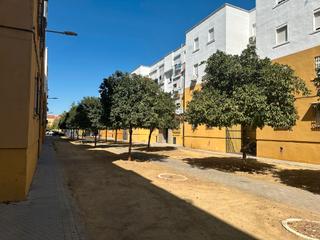 Pis a Calle madre inmaculada 2