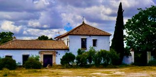 Edificio in Carretera La Puebla de Cazalla 5