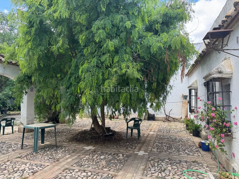 Foto fa05bb0f-ac87-40ed-9c33-75e8dc75e089. Edificio in carretera la puebla de cazalla 5 in Marchena