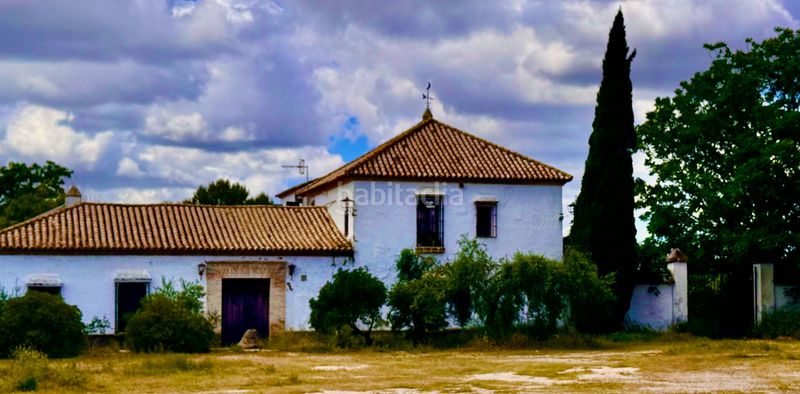Foto d565a489-126a-4062-82bd-62ea0298a9c7. Edifici a carretera la puebla de cazalla 5 a Marchena