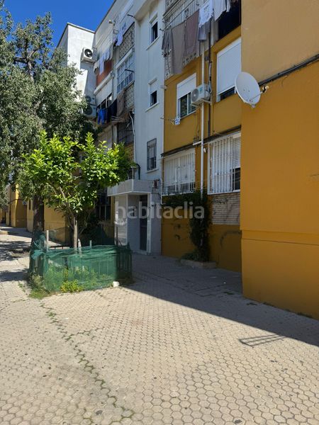 Foto 65cafead-ce5d-446c-b8f6-60c52a0497e6. Pis a avenida las letanías 5 a La Oliva Sevilla