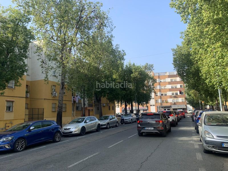 Foto 903215c6-8b8e-452b-8be2-b79401b0a763. Pis a La Oliva Sevilla