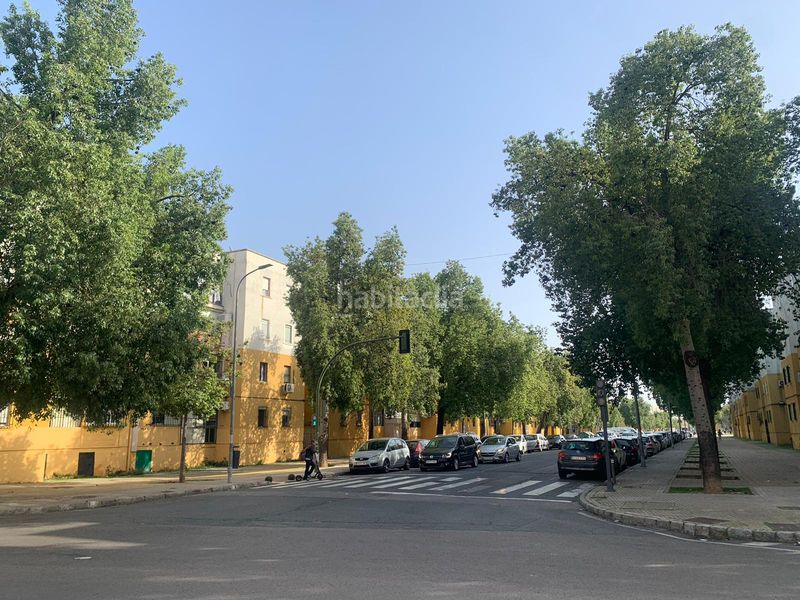 Foto a871775e-0ef8-476d-abf8-0213131e8cc0. Pis a La Oliva Sevilla