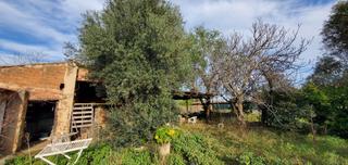 Finca rústica a Carrer del puigtavell 31. Huerto pajar. con gran jardin zona agricola