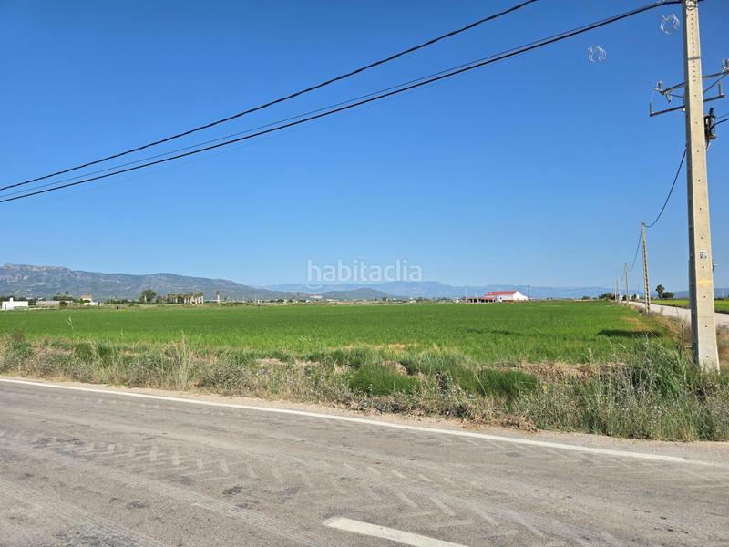 Foto 39b9a6d3-9c20-48f3-b36c-ed2f2b7b9a06. Landgut in Eucaliptus - Poble Nou del Delta Amposta