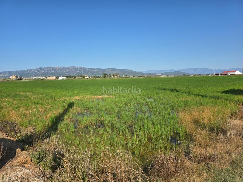 Foto adc8f9a9-d380-4474-bbc0-f93ef8701dd5. Landgut in Eucaliptus - Poble Nou del Delta Amposta