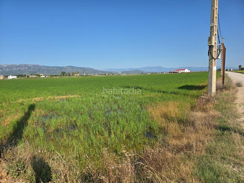 Foto ca356900-25f3-4300-b45a-ea1c123e6186. Landgut in Eucaliptus - Poble Nou del Delta Amposta