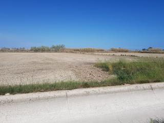 Bauernhof in Centre. Arrozales regadío