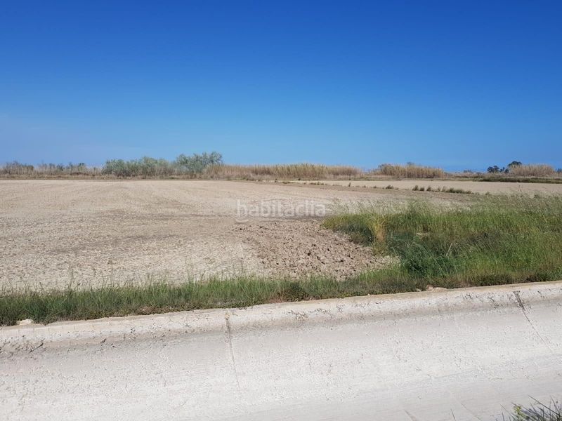 Foto dd528b65-9653-433c-b6d4-916f60663e69. Masía arrozales regadío en Centre La Ràpita