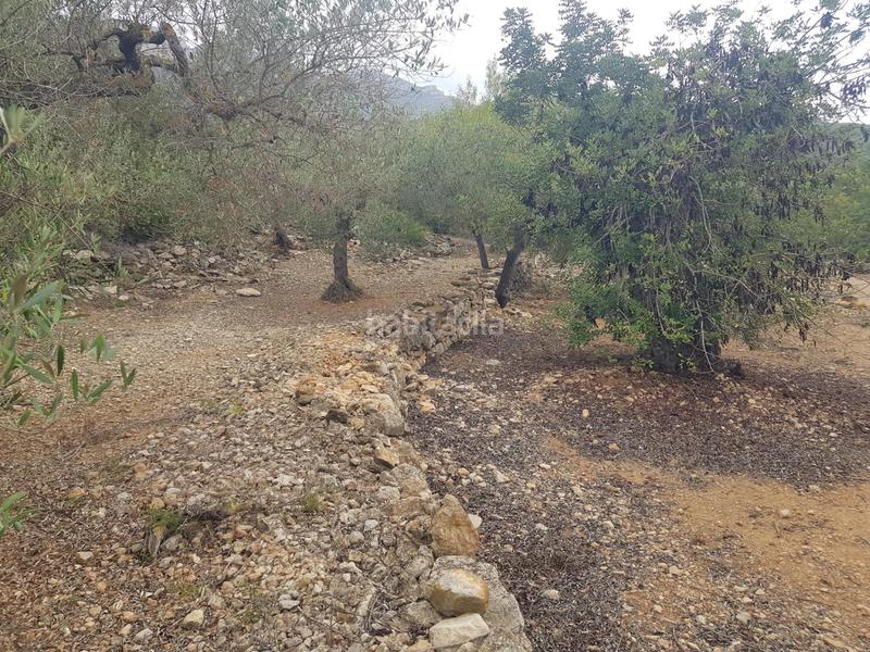 Foto d88fa64b-4202-4c89-a24d-eec2c4b612ae. Propriété dans Alcanar