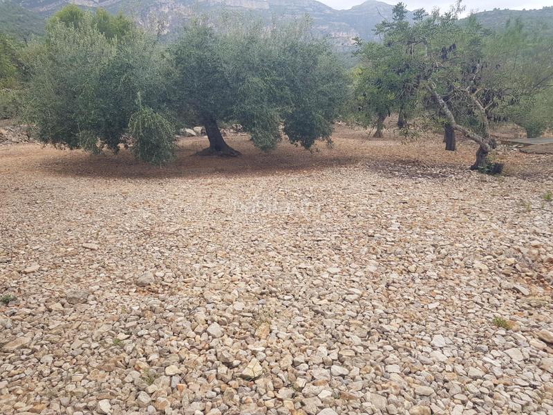 Foto dde50dfb-957c-4798-912a-e63143b94558. Propriété dans Alcanar