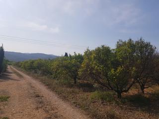 Masia a Galera (La). Finca en la galera con agua y casa de  15m2