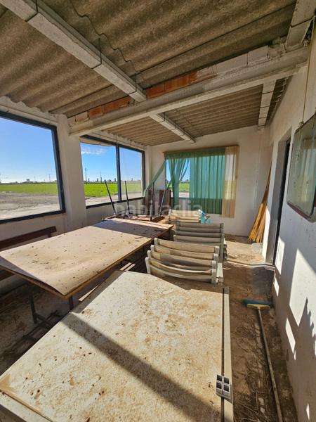 Foto 18078e5d-3863-4a44-9570-643a34952d12. Masia a Eucaliptus - Poble Nou del Delta Amposta