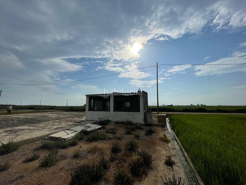 Foto 18635770-3207-475e-97e6-776b55186a50. Masia a Eucaliptus - Poble Nou del Delta Amposta