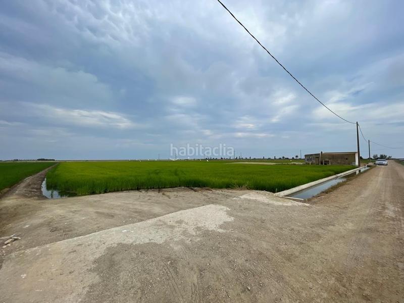 Foto 1e8e63d3-87a2-4a61-b97b-4ce7c0de0e4c. Masia a Eucaliptus - Poble Nou del Delta Amposta