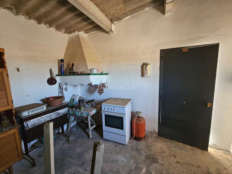 Foto 1ef8be80-c07e-46e4-83e5-a6d9dabc353a. Masia a Eucaliptus - Poble Nou del Delta Amposta