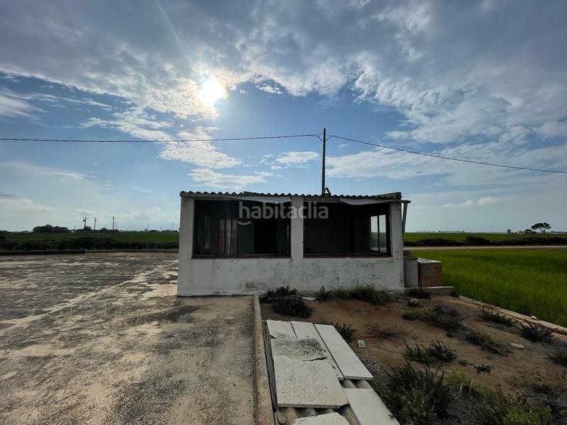 Foto 369004f5-51bb-4005-afc0-01ef88f6c137. Masia a Eucaliptus - Poble Nou del Delta Amposta