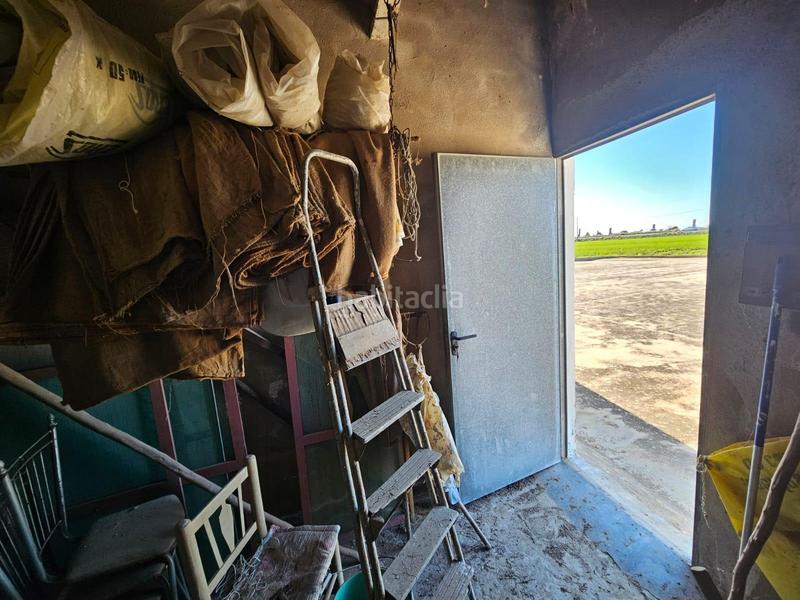 Foto 4c0aed4d-772a-44dd-b411-813b296c3519. Masia a Eucaliptus - Poble Nou del Delta Amposta