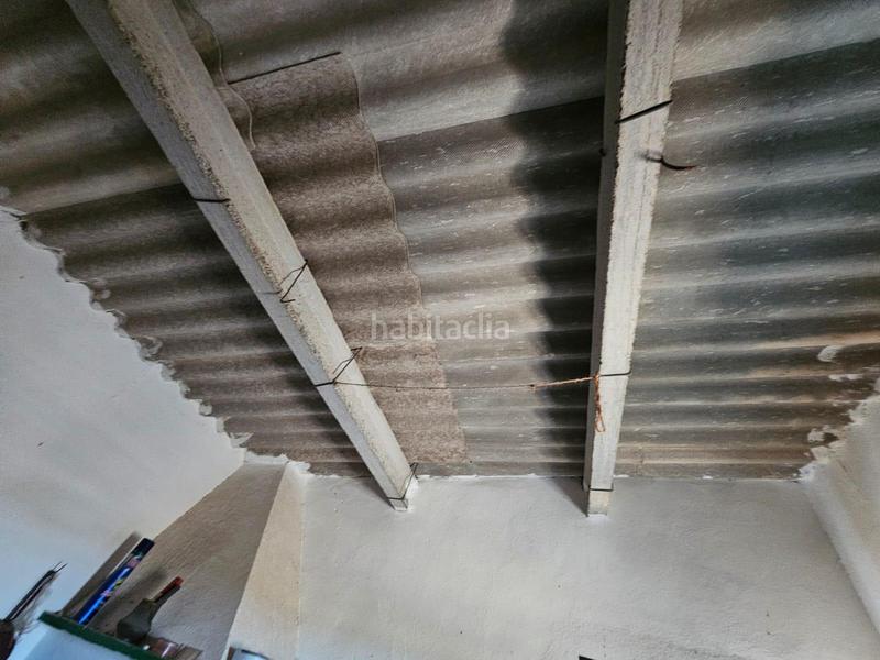 Foto 553af421-d5ef-4593-b8e8-b0da68bde454. Masia a Eucaliptus - Poble Nou del Delta Amposta