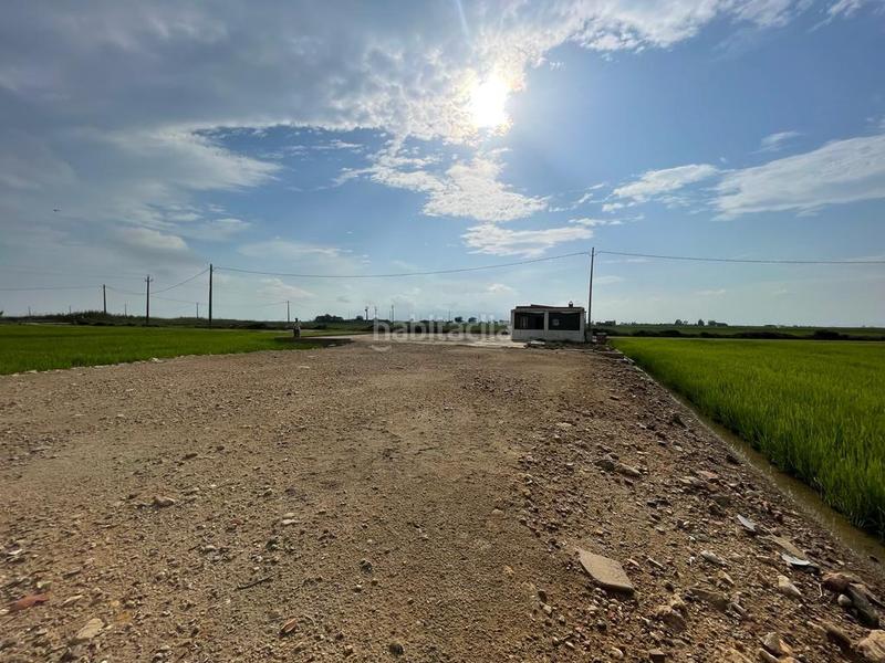 Foto 556c6b6d-7617-4a6d-8bee-354ded00e59f. Masia a Eucaliptus - Poble Nou del Delta Amposta