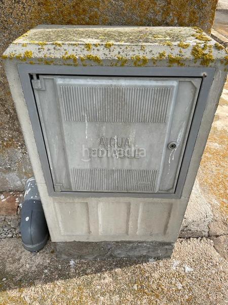 Foto 81222f26-14d3-4a1f-ba43-34ddb8ae62a1. Masia a Eucaliptus - Poble Nou del Delta Amposta