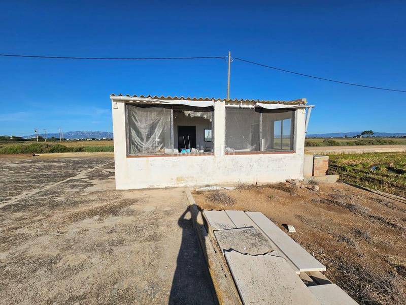 Foto 8e382eec-670a-46e3-8b5c-93b858c374f2. Masia a Eucaliptus - Poble Nou del Delta Amposta