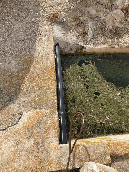 Foto 96859038-9c50-4ec2-bac5-35acdbb48a2e. Masia a Eucaliptus - Poble Nou del Delta Amposta