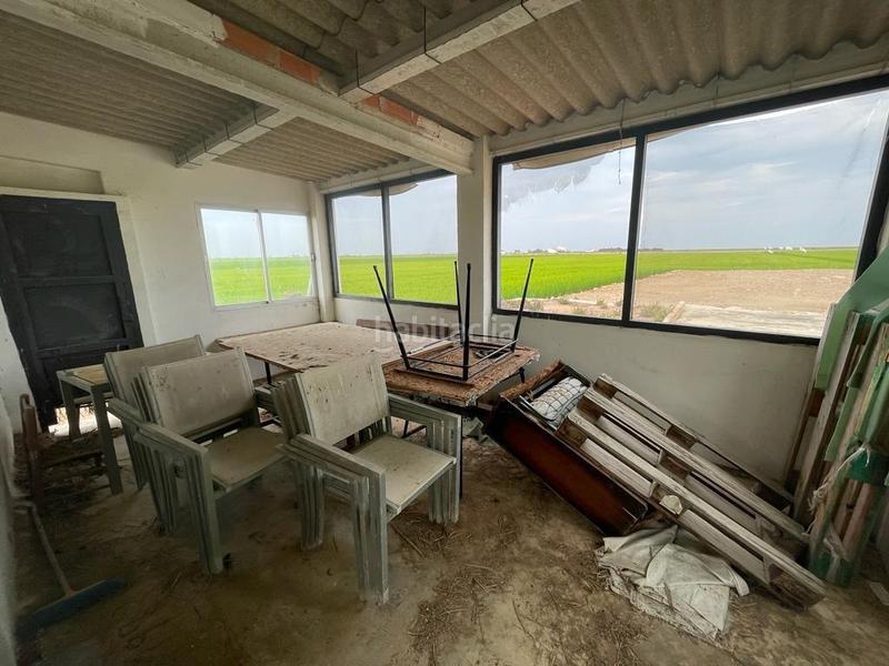 Foto 979e348c-a6a3-4df1-9bda-c9fe1f413cdd. Masia a Eucaliptus - Poble Nou del Delta Amposta