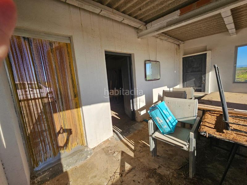 Foto 97b85aec-0b78-407d-b696-5b31e5c0f03f. Masia a Eucaliptus - Poble Nou del Delta Amposta