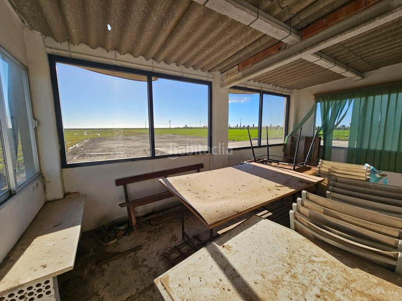 Foto b133bfc1-15e9-42a7-b80f-4f6bdac350fb. Masia a Eucaliptus - Poble Nou del Delta Amposta