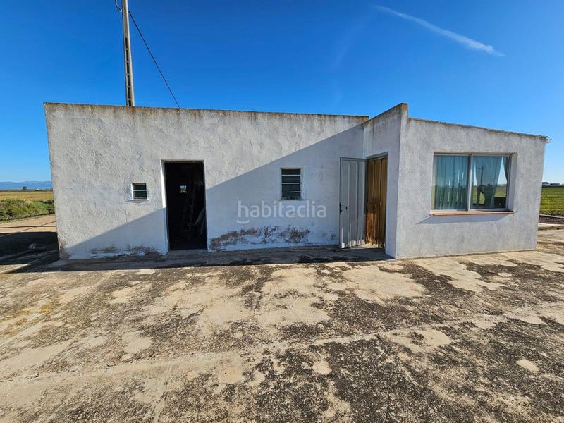 Foto b1e074f0-e747-452d-bfc0-1f64503ee774. Masia a Eucaliptus - Poble Nou del Delta Amposta