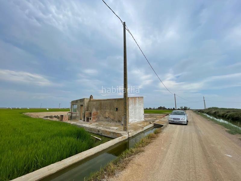 Foto d170ee4d-4b19-4a91-a416-f00068657128. Masia a Eucaliptus - Poble Nou del Delta Amposta