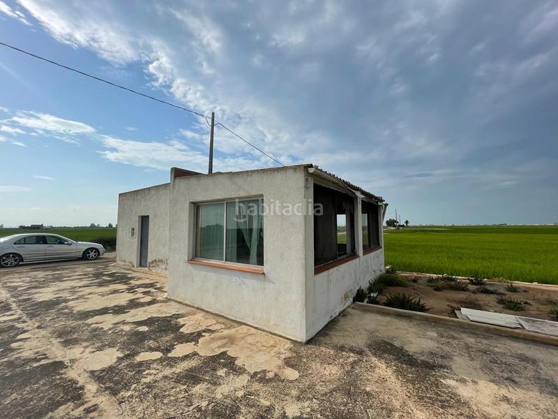 Foto d5ccf72e-456b-4ac6-b2ab-fc051fb32ba8. Masia a Eucaliptus - Poble Nou del Delta Amposta