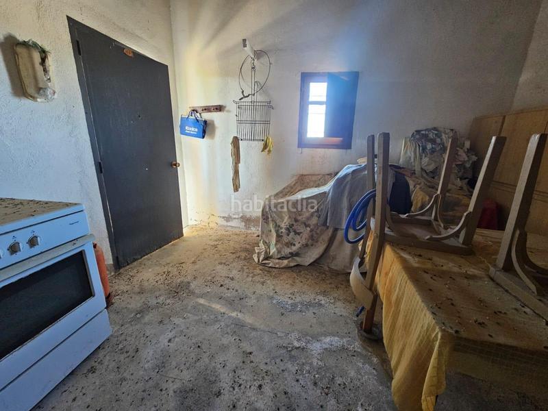 Foto e163e7ef-ba5a-42f6-b8ed-92decca71e27. Masia a Eucaliptus - Poble Nou del Delta Amposta