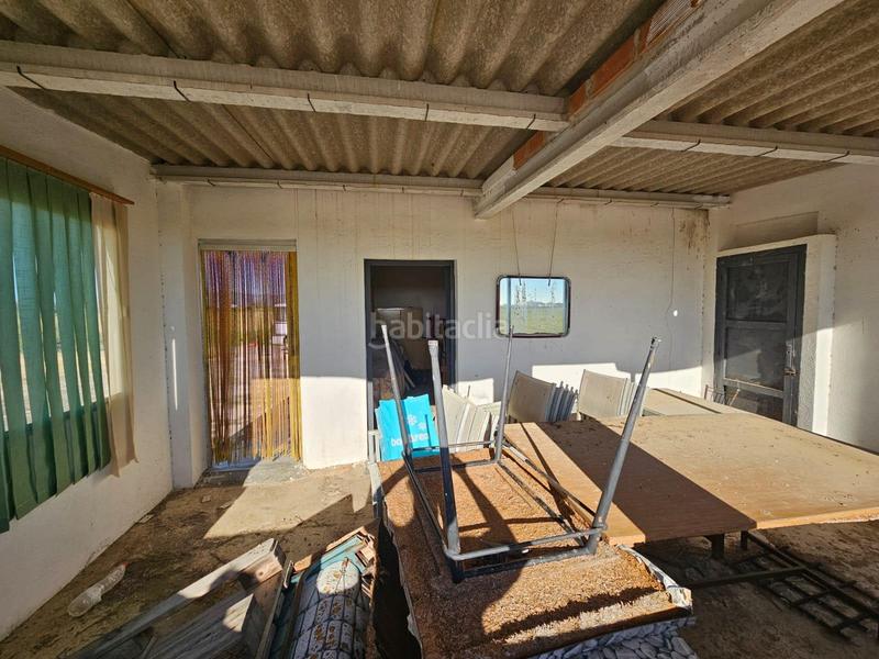 Foto e3069d50-3eae-4937-87ef-4f0c5c9c857f. Masia a Eucaliptus - Poble Nou del Delta Amposta