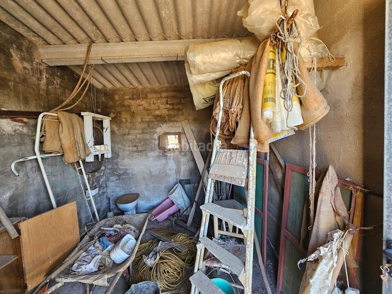 Foto e3682127-b84c-42bb-b9e5-1de483282877. Masia a Eucaliptus - Poble Nou del Delta Amposta