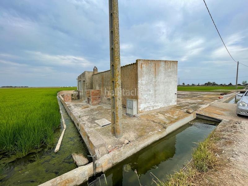 Foto ef0fe308-e7bb-4a18-97f7-a6f35f066f7a. Masia a Eucaliptus - Poble Nou del Delta Amposta