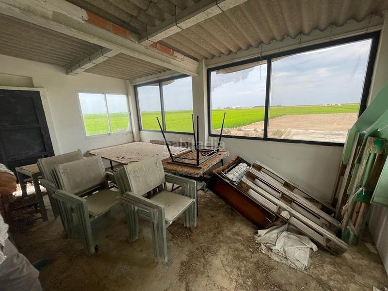 Foto f88cbbb9-aa0c-4f89-b711-75bb3baa370c. Masia a Eucaliptus - Poble Nou del Delta Amposta