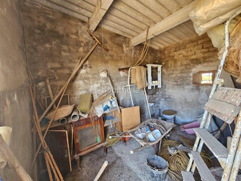 Foto fb1a2f5d-2a27-44d5-8dcc-ba154a6a1310. Masia a Eucaliptus - Poble Nou del Delta Amposta