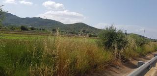 Residential Plot in Nord. Finca en la rapita colindante con n340