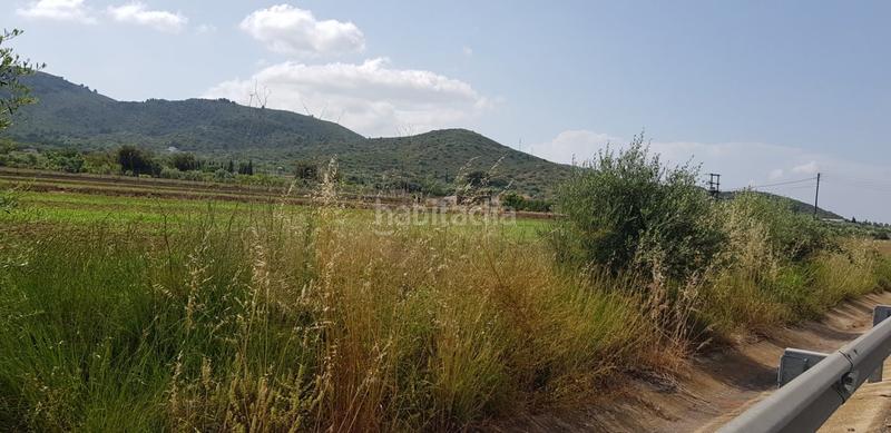 Foto 6862a3a4-5ee2-41b7-ba4b-fe763a44ba19. Terreno residenziale in Nord Sant Carles de la Ràpita