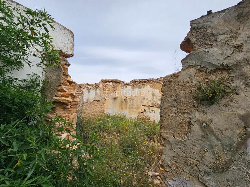 Foto 00f41ee5-fcf2-4160-985d-bea7099e0d63. Bauernhof in Eucaliptus - Poble Nou del Delta Amposta