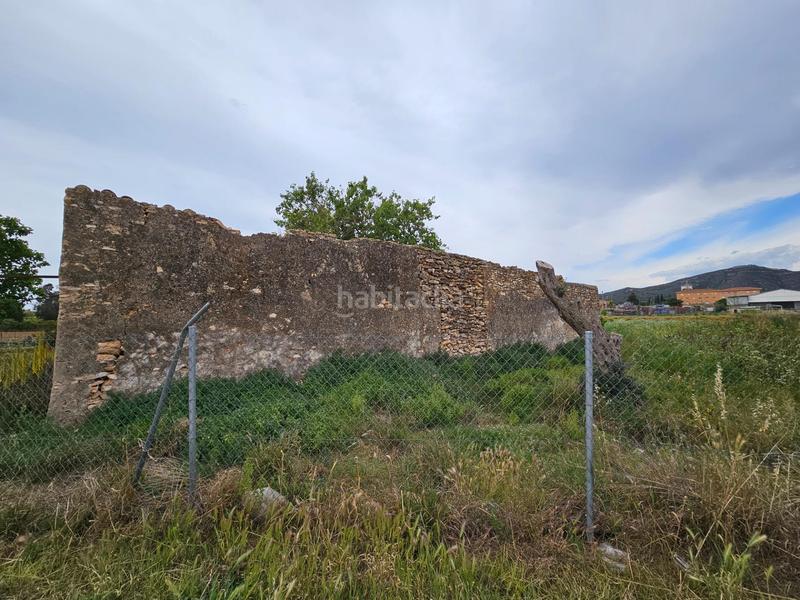 Foto 070c47d5-f0ac-4401-8320-a41f9ad90290. Bauernhof in Eucaliptus - Poble Nou del Delta Amposta