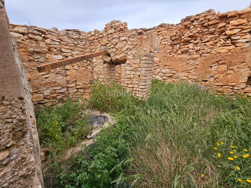 Foto 097dedb8-a294-4df5-8d5f-409f4f8b0fb8. Bauernhof in Eucaliptus - Poble Nou del Delta Amposta