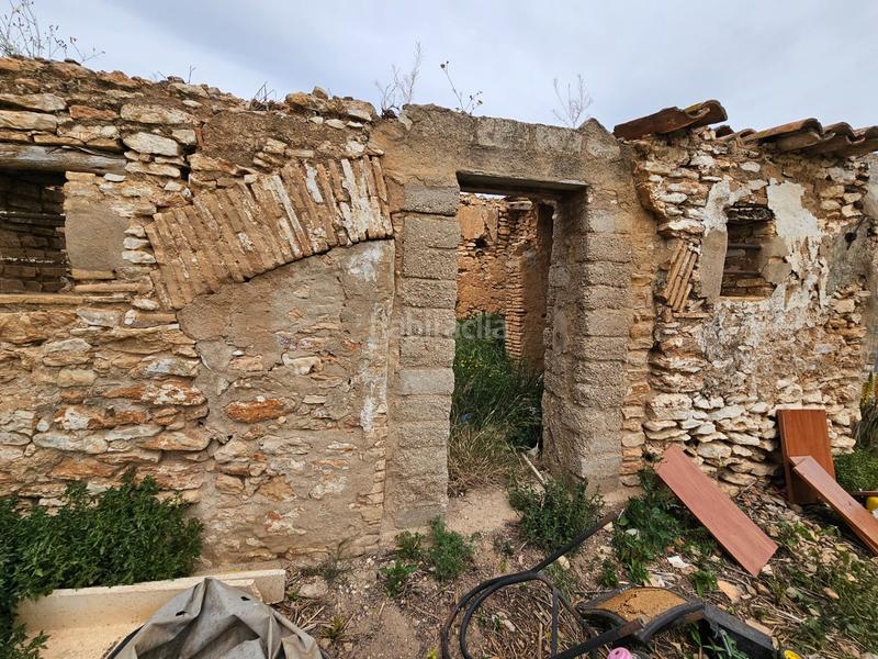 Foto 09c9d386-4d0f-4601-8ebd-f694725e1612. Bauernhof in Eucaliptus - Poble Nou del Delta Amposta