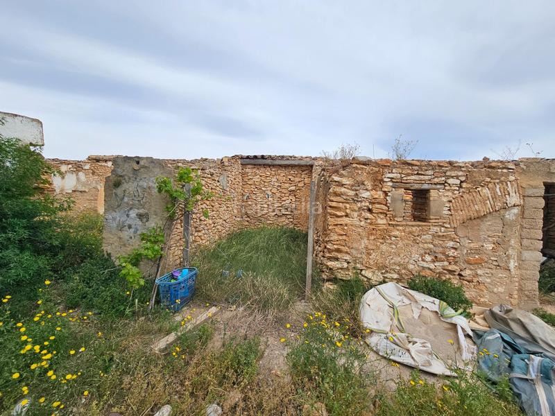 Foto 1bc7495c-6719-427f-8a04-4725e01f14bb. Bauernhof in Eucaliptus - Poble Nou del Delta Amposta