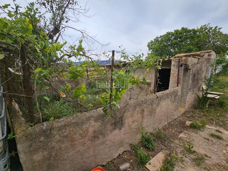 Foto 1fef1056-2e87-4960-bdb7-aad7d9d052bf. Bauernhof in Eucaliptus - Poble Nou del Delta Amposta