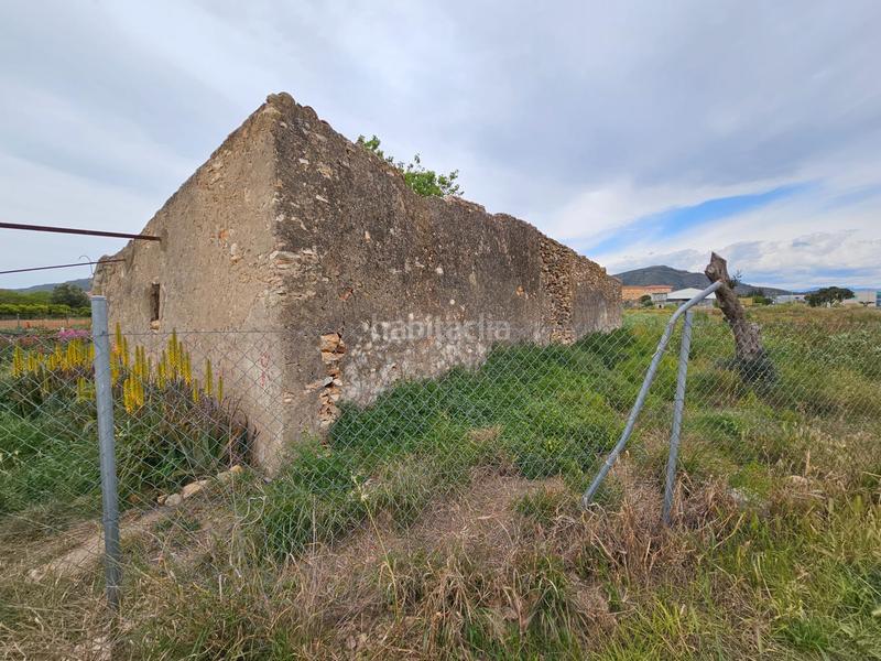 Foto 409c2dff-a73d-4939-bd9e-635a48e2b7aa. Bauernhof in Eucaliptus - Poble Nou del Delta Amposta