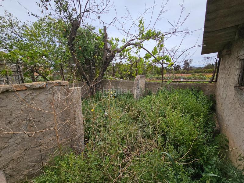 Foto 415d94b3-91e5-4f4c-b248-cdc5e6632484. Bauernhof in Eucaliptus - Poble Nou del Delta Amposta